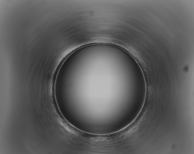 X0000094780846200711241337