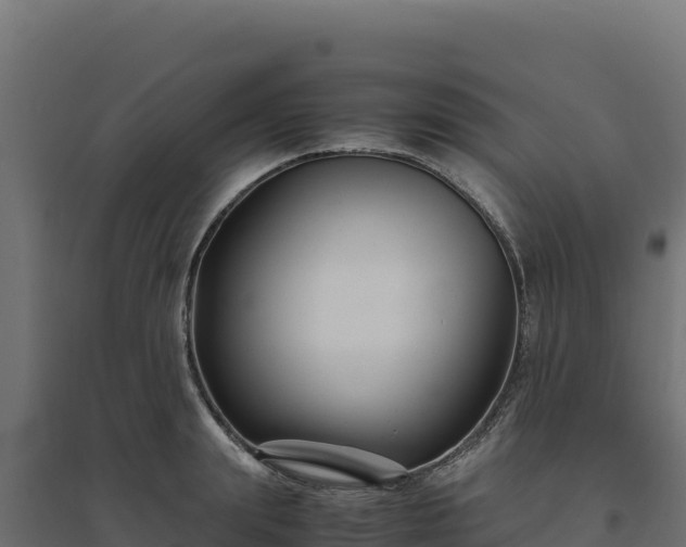 X0000094780847200711241337