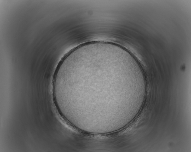 X0000094780848200711241337
