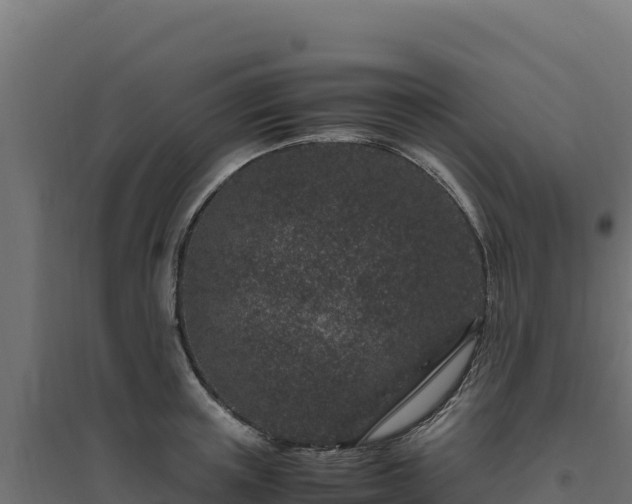 X0000094780851200711241337
