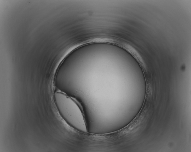 X0000094780852200711241337