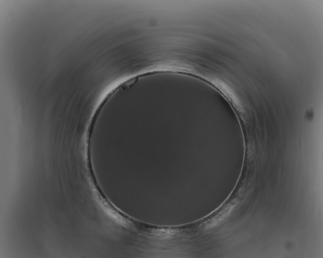X0000094780854200711241337