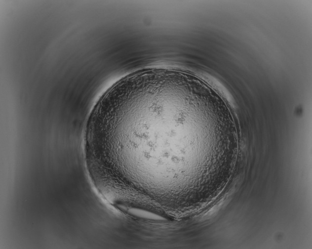 X0000094780855200711241337