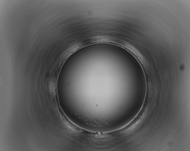 X0000094780857200711241337