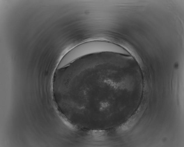 X0000094780858200711241337