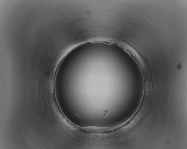 X0000094780860200711241337
