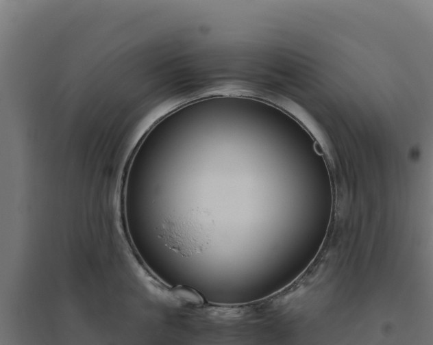X0000094780861200711241337