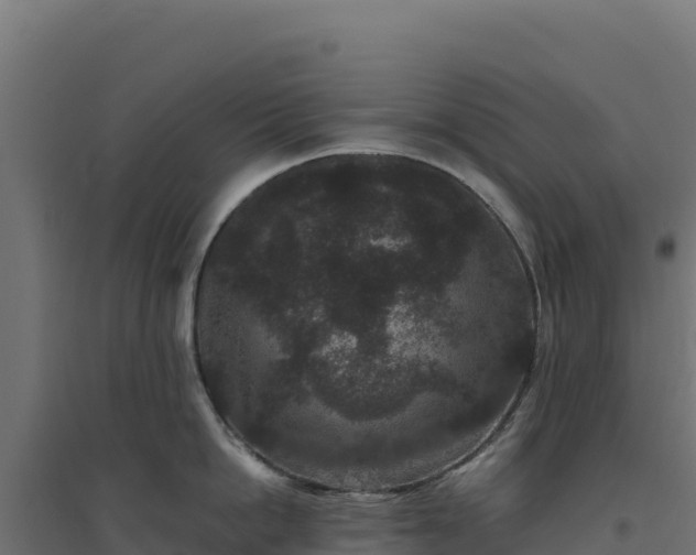 X0000094780862200711241337