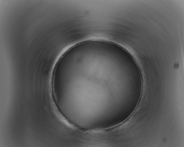 X0000094780864200711241337