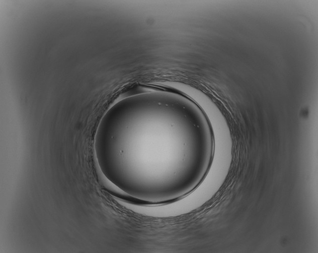 X0000094780865200711241337