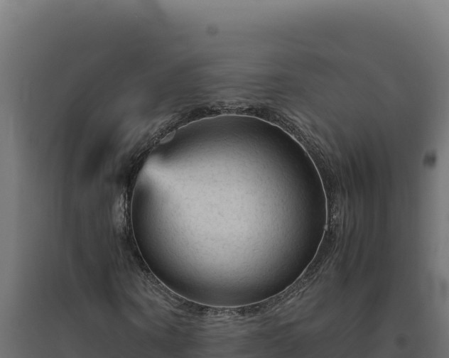 X0000094780866200711241337