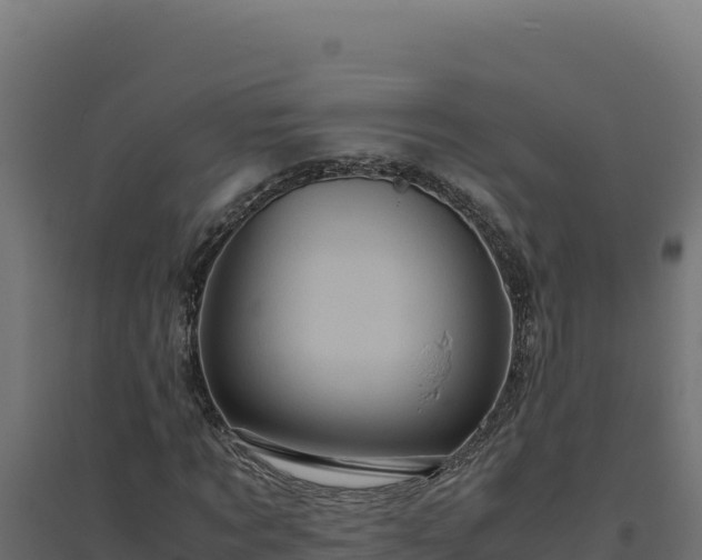 X0000094780869200711241337