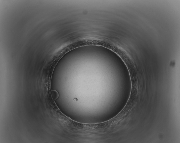 X0000094780870200711241337