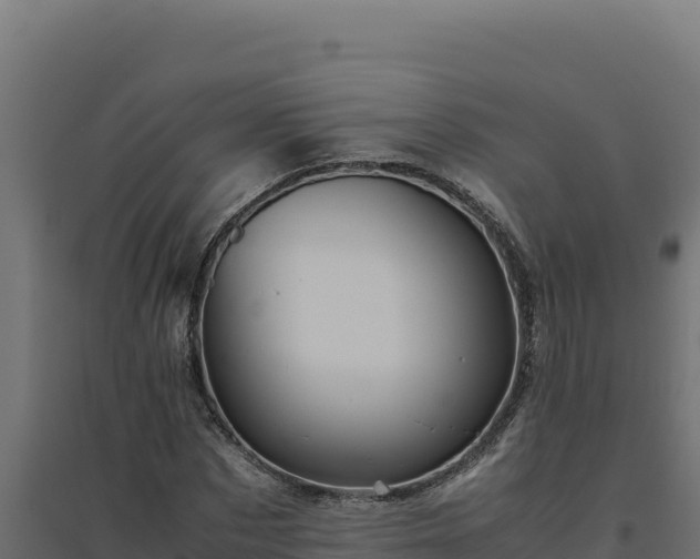X0000094780873200711241337