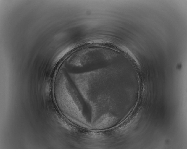 X0000094780874200711241337