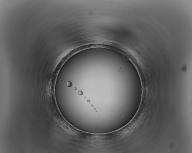 X0000094780875200711241337