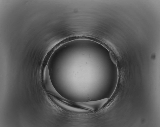 X0000094780876200711241337
