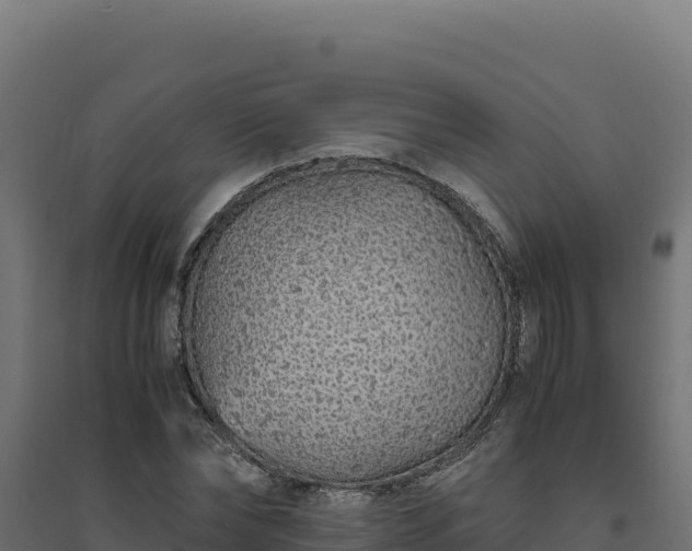 X0000094780878200711241337