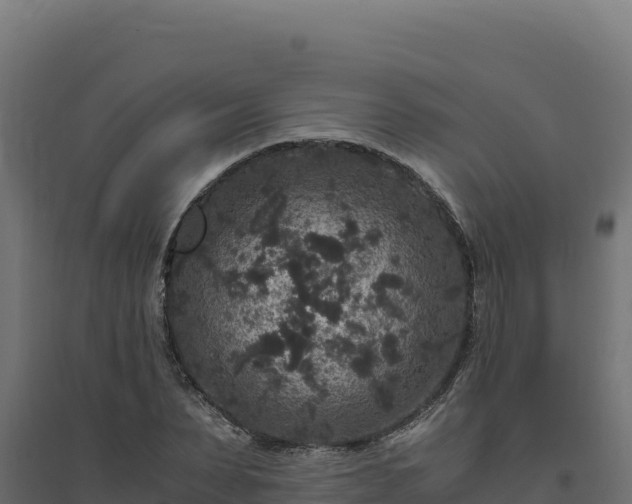 X0000094780879200711241337