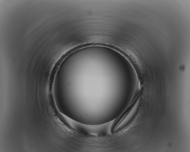 X0000094780880200711241337