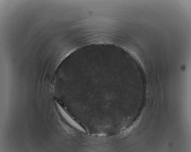 X0000094780881200711241337