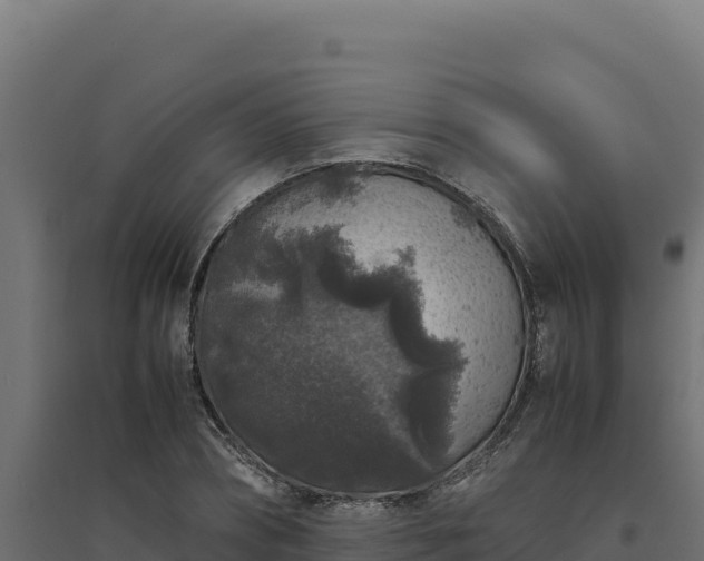 X0000094780882200711241337