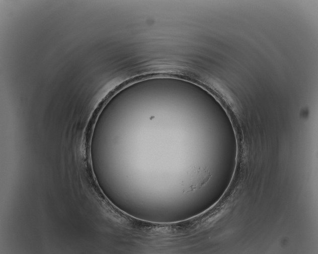 X0000094780883200711241337