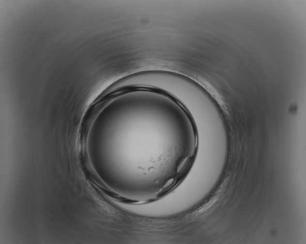 X0000094780885200711241336