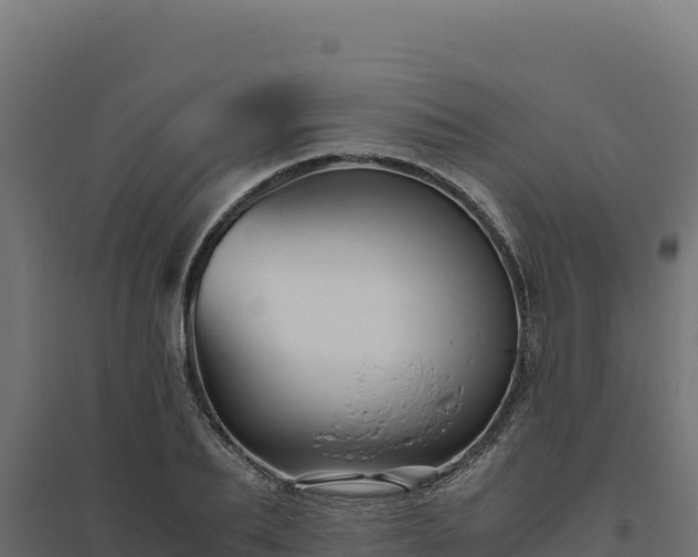X0000094780887200711241336