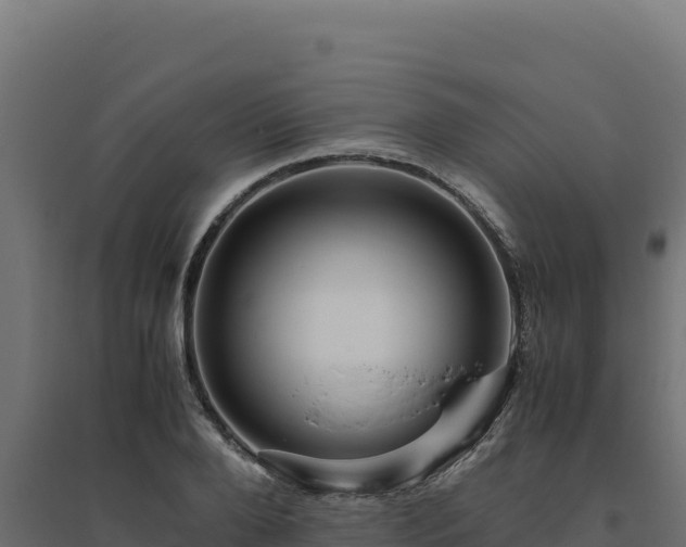 X0000094780888200711241336