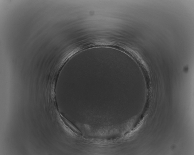 X0000094780889200711241336