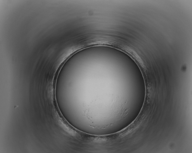 X0000094780890200711241336