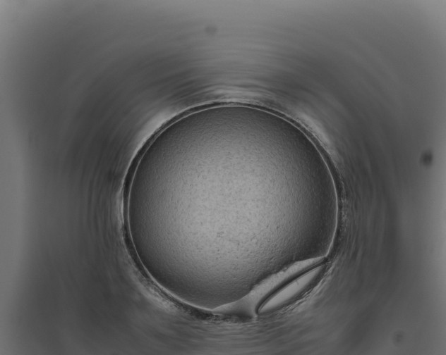 X0000094780891200711241336