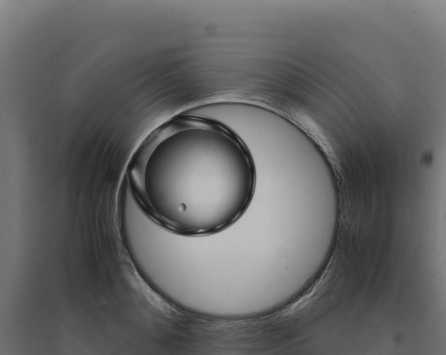 X0000094780892200711241336