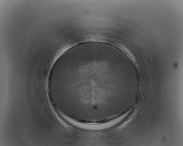 X0000094780893200711241336