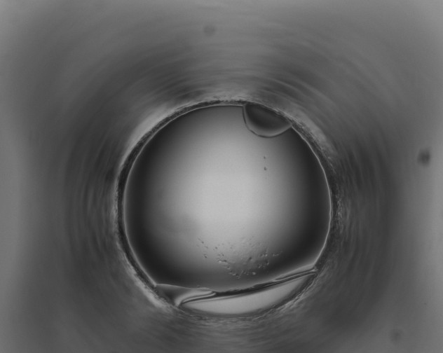 X0000094780894200711241336
