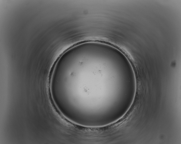 X0000094780895200711241336
