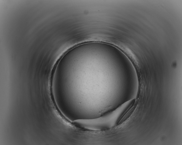 X0000094780896200711241336
