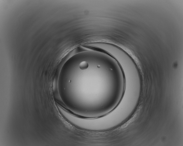 X0000094780897200711241336
