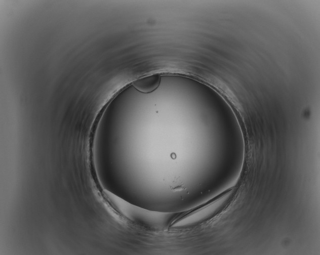 X0000094780898200711241336