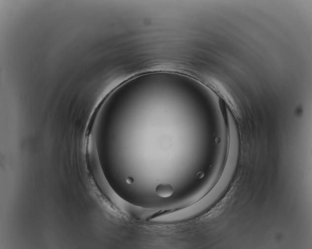X0000094780900200711241336