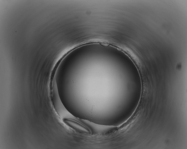 X0000094780902200711241336