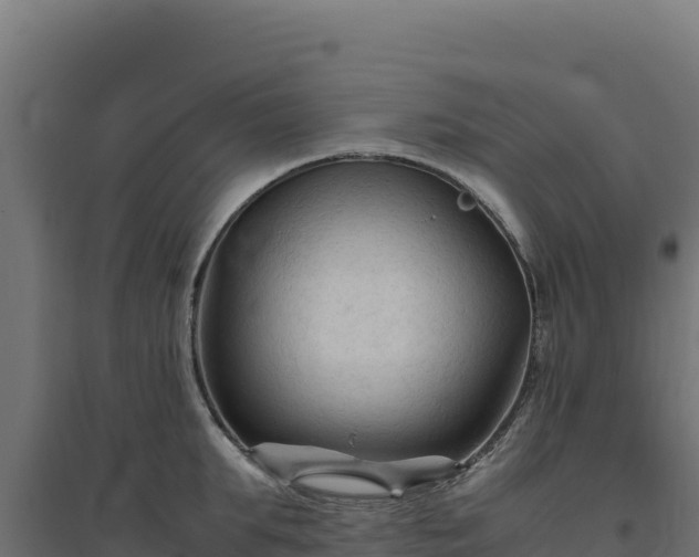 X0000094780903200711241336