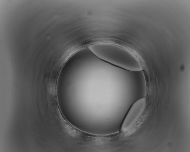 X0000094780905200711241336