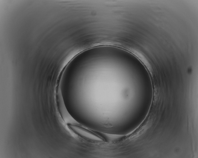 X0000094780906200711241336