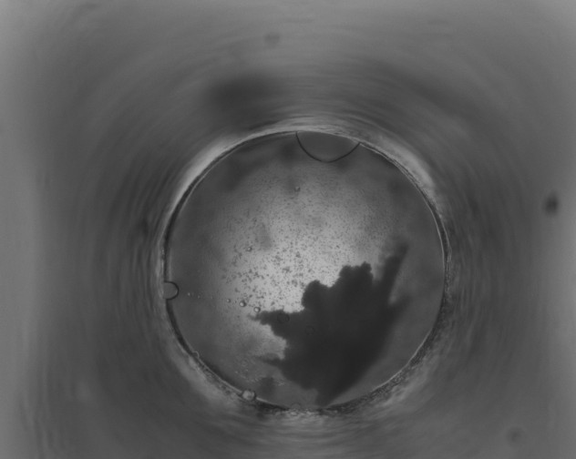 X0000094780907200711241336