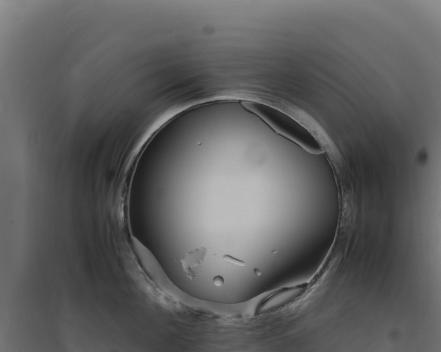 X0000094780908200711241336