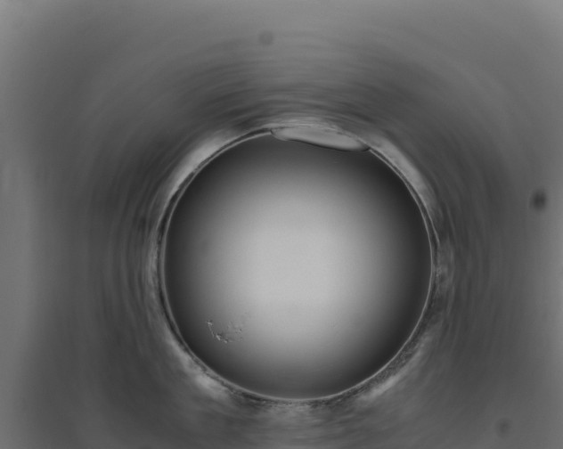 X0000094780909200711241336