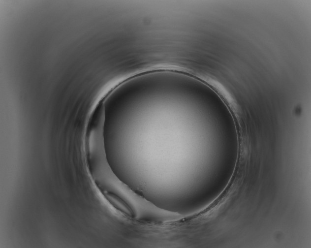 X0000094780910200711241336