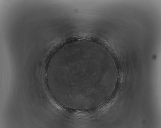 X0000094780913200711241335